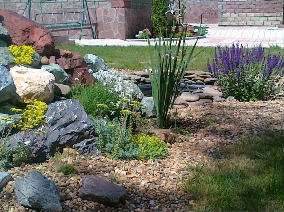 Изображение 1