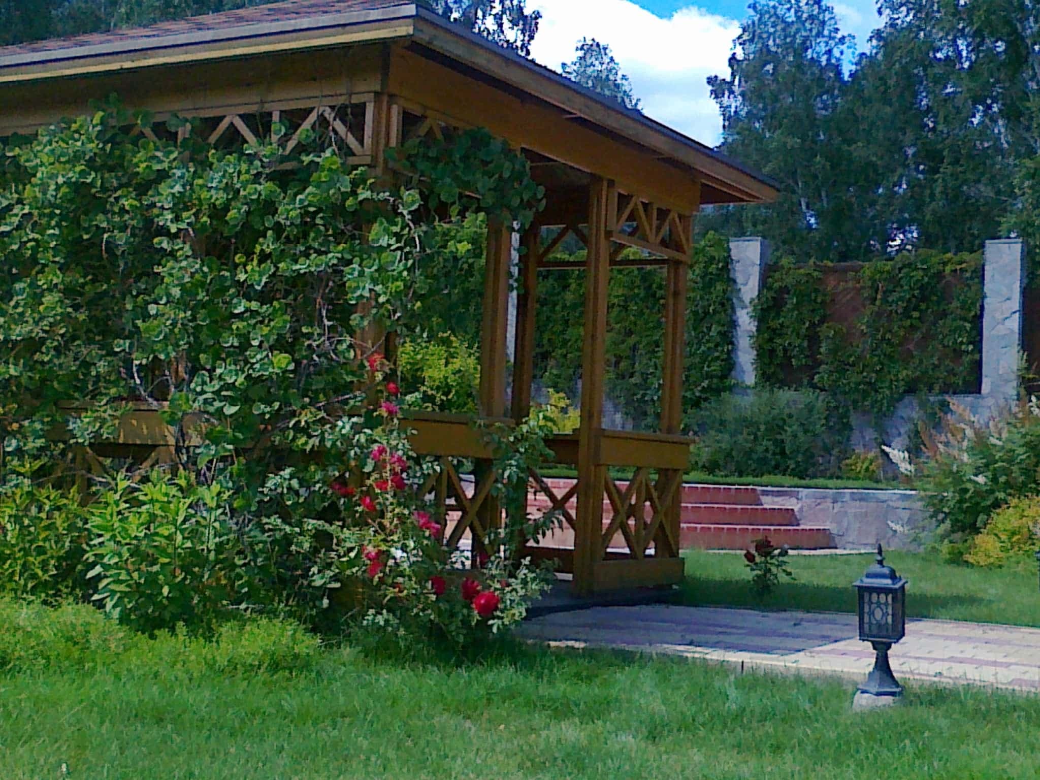 Изображение 9