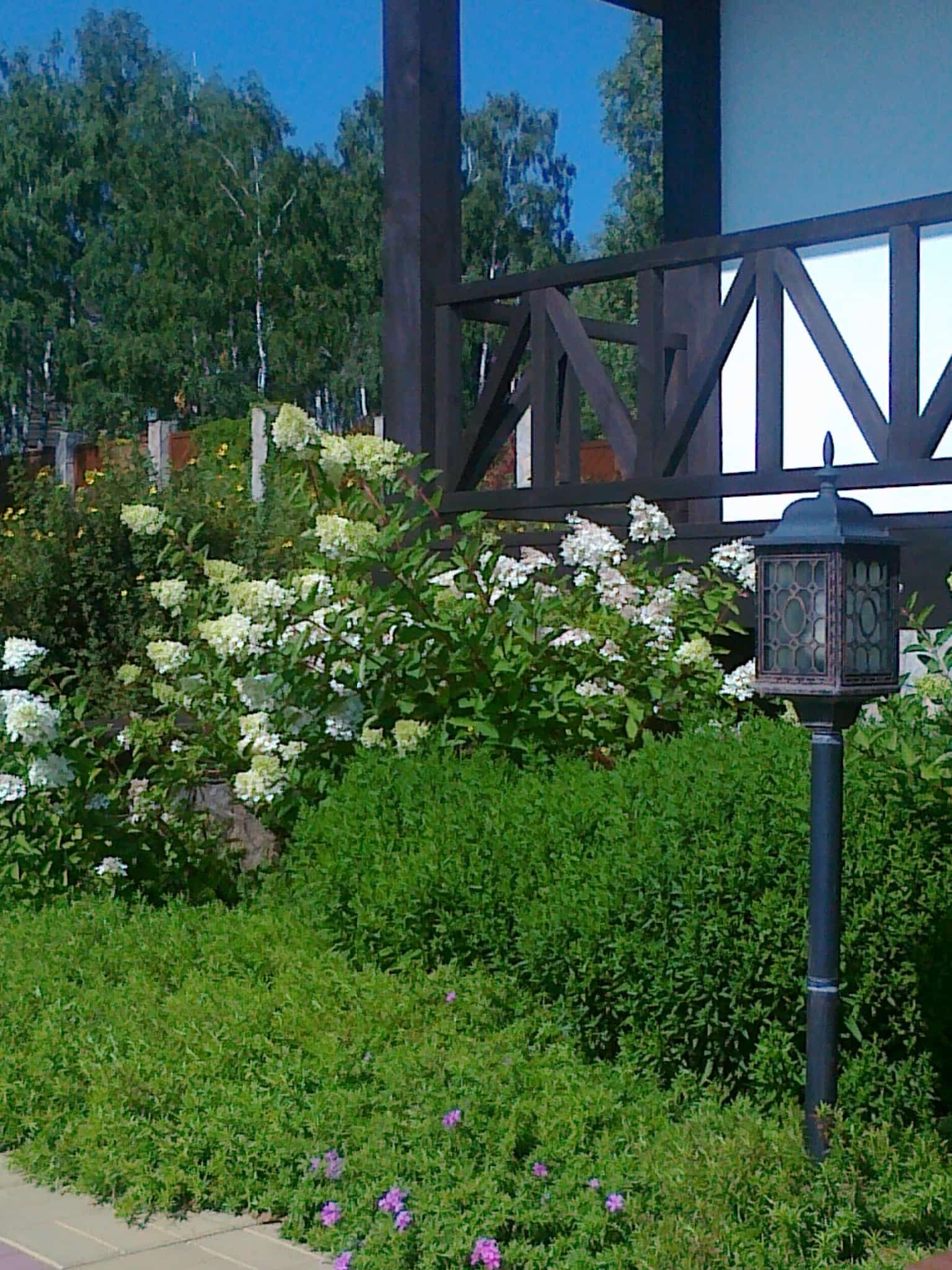 Изображение 4