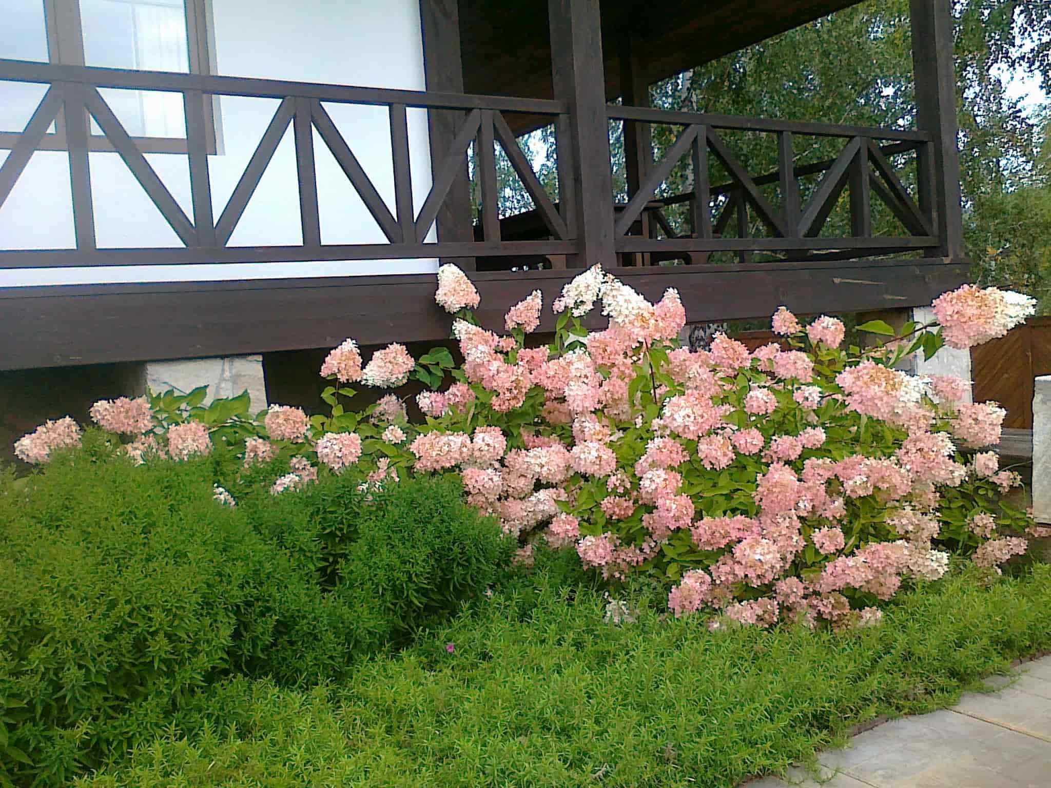 Изображение 3