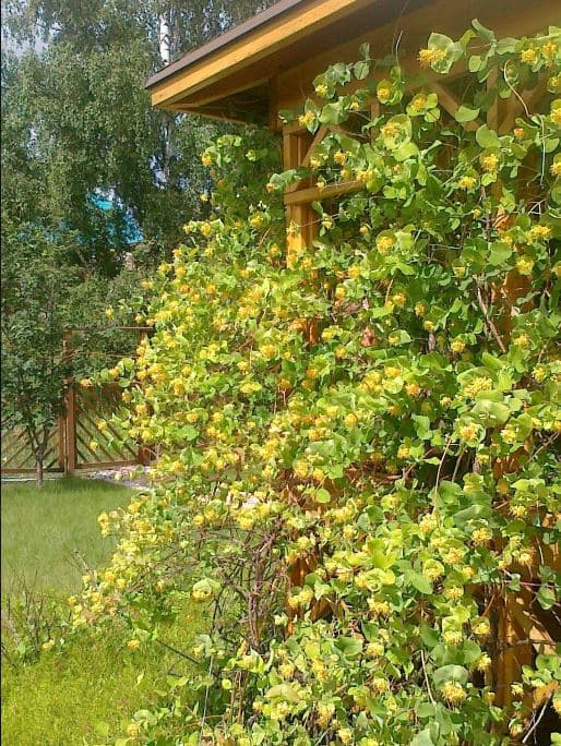 Изображение 7