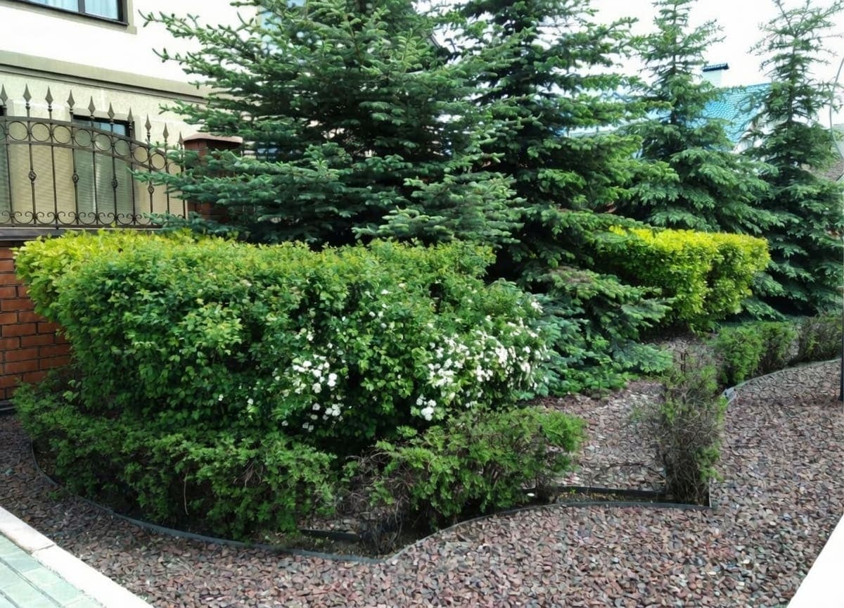 п. Александровский сад