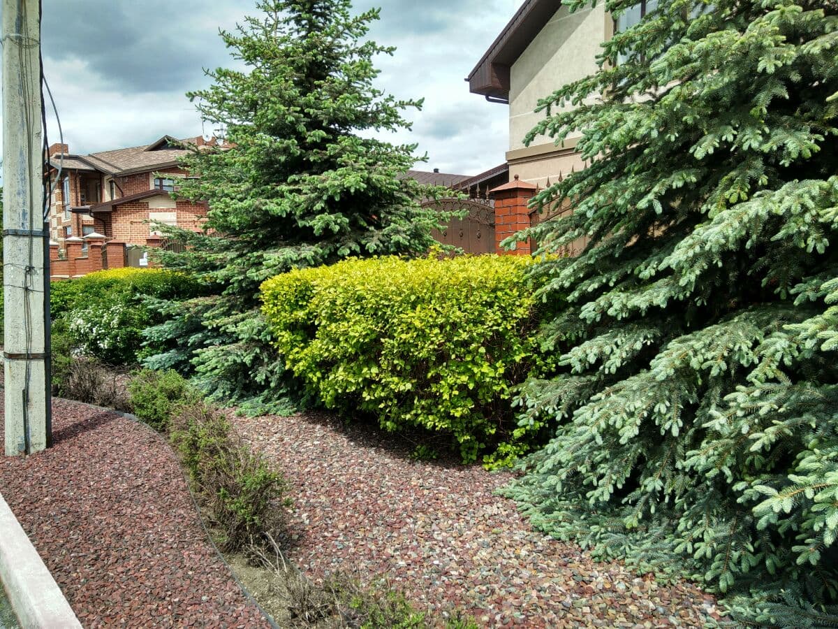 Палисадник. Примеры работ