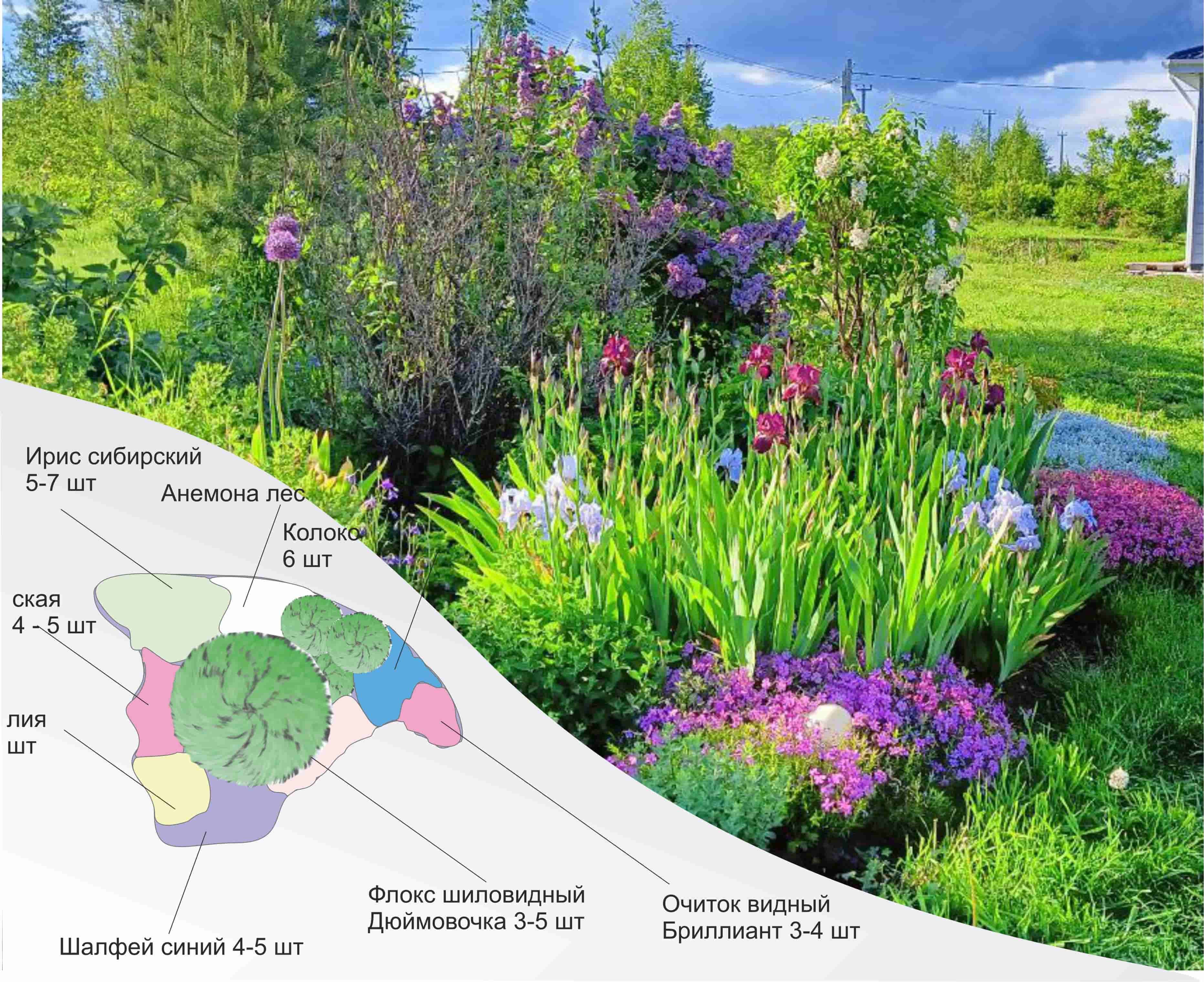 Цветник - искусство создания