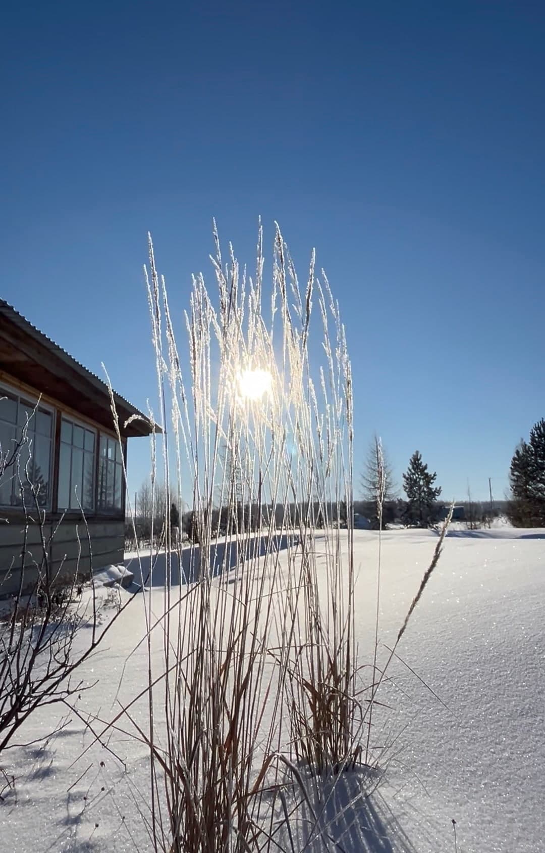 Ландшафтный дизайн 7