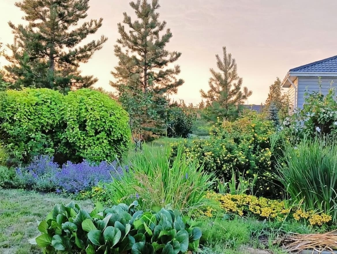 Семисточный лог. Усадьба