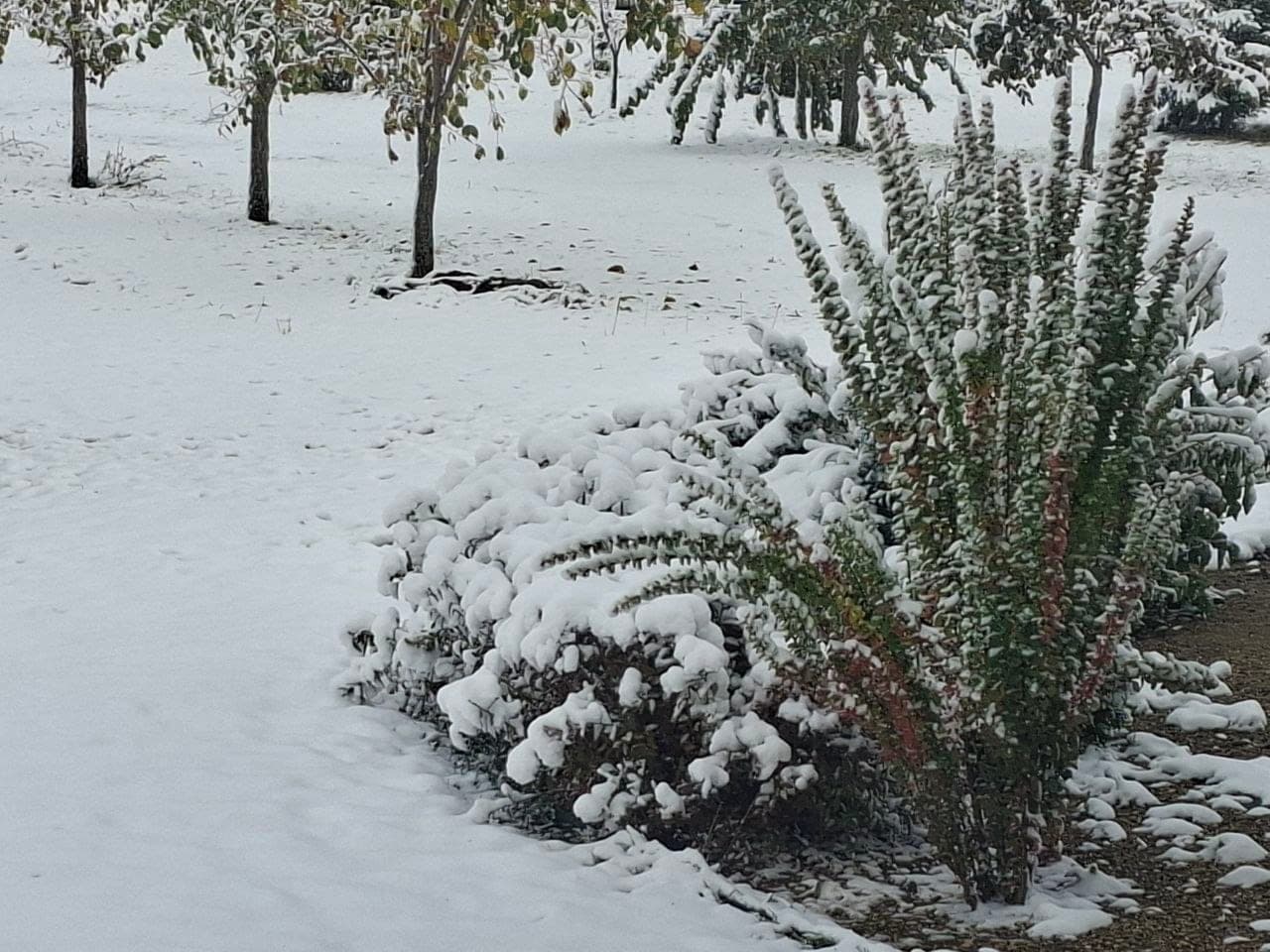 Ландшафтный дизайн 8