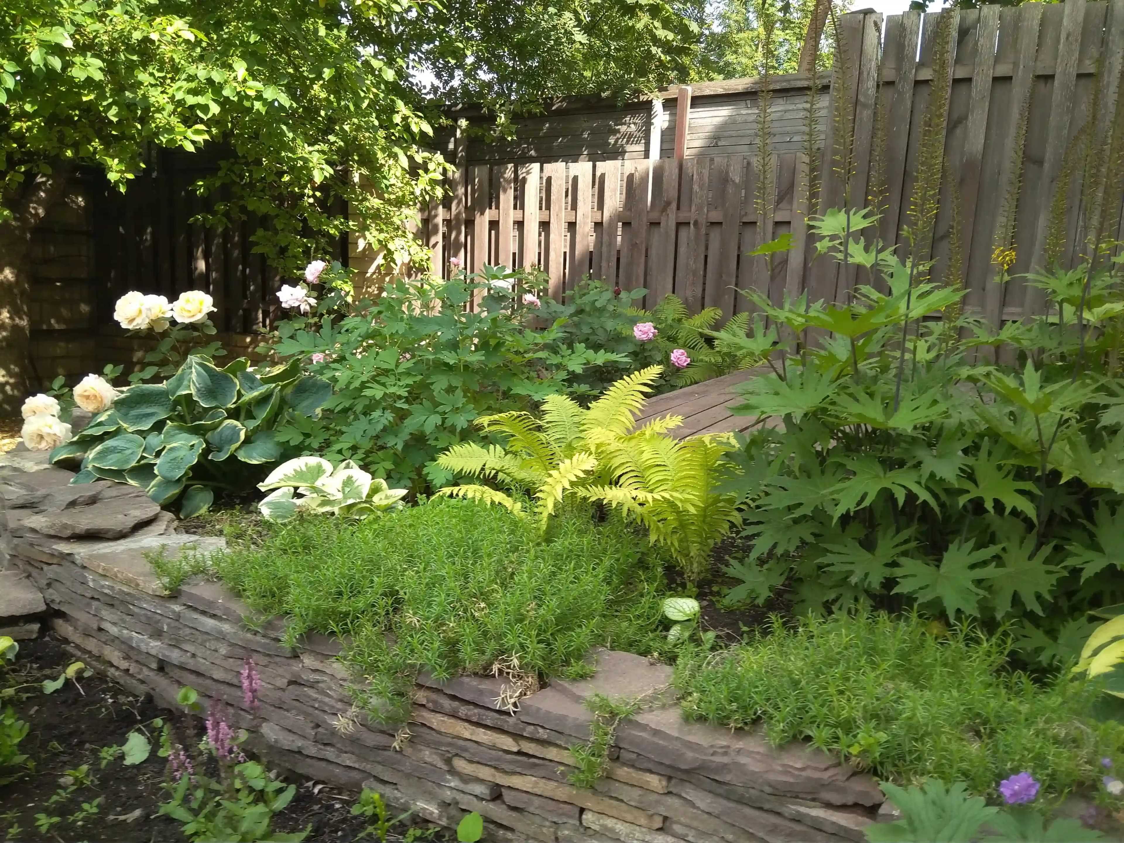 Ландшафтный дизайн 2